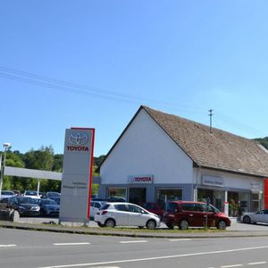 Das Autohaus Metzger verkauft über die Hälfte seiner Gebrauchtwagen über das Internet.