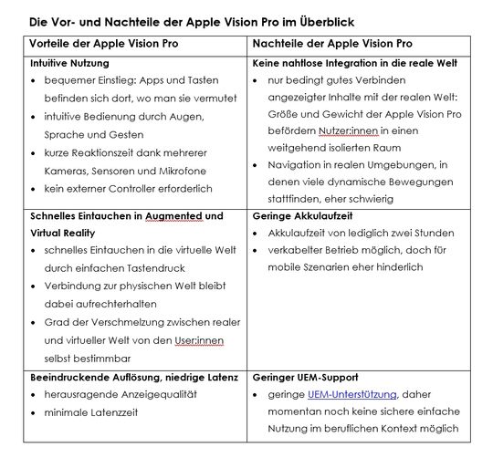 Die Vorteile und Nachteile der Apple Vision Pro im Überblick.(Bild:  EBF-EDV-Beratung Föllmer GmbH)