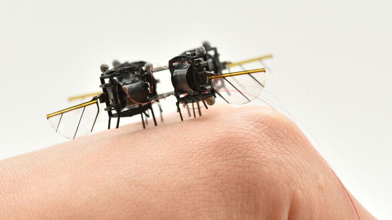 Fast and agile like a bumblebee, a new microrobot by engineers from the Massachusetts Institute of Technology (MIT).(Image: MIT)