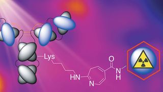Mithilfe von UV-Licht lassen sich radioaktiv markierte Antikörper in nur 15 Minuten herstellen (Ausschnitt, klicken für vollständiges Bild) (Jason P. Holland, UZH)