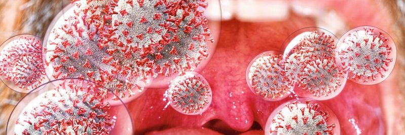 Die Viruslast bei Covid-19 und das damit verbundene Ansteckungspotenzial haben Forscher in einer aktuellen Studie untersucht. Die Viruslast bei Covid-19 und das damit verbundene Ansteckungspotenzial haben Forscher in einer aktuellen Studie untersucht.