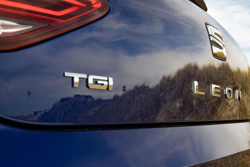 Erkennbar sind die Erdgas-Modelle von Seat am Kürzel TGI (hier an einem Leon-Heck). (Seat)