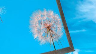 Immer mehr Daten und Anwendungen migrieren in externe Rechenzentren. So rücken auch Aspekte wie verstärkte Automatisierung und integriertes Monitoring immer mehr in den Fokus. (© Alexey Protasov - Fotolia.com)