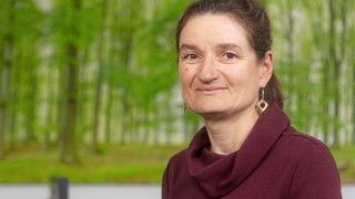 Dr. Sabine König (André Künzelmann / UFZ )