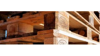 57165881v2 (Bild: Pixabay, CCO Public Domain)