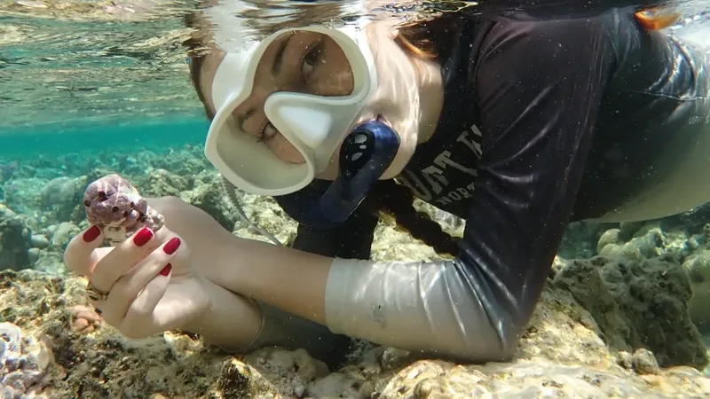 Lena Li, Erstautorin der Studie, hält eine im Roten Meer gesammelte Rhodolithenprobe in der Hand. Die frei lebenden Kalkalgenknollen dienen als natürliche Klimaarchive und ermöglichen die Rekonstruktion täglicher Meerwassertemperaturen.   (Bild:  © Lucia Bravo)