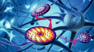 Prinzip des neuromorphen Computers: Schaltstellen des Gehirns werden mit magnetischen Wellen nachgebildet, die in mikroskopisch kleinen Magnetscheiben gezielt durch nichtlineare Prozesse erzeugt und aufgeteilt werden. (Bild: HZDR/Sahneweiß/ H. Schultheiß)