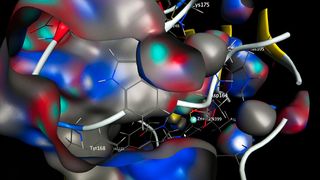 Seitliche Ansicht des aktiven Zentrums einer bakteriellen Glutaminyl-Zyklase, dem Auslöser vieler bakterieller Infektionen. (Bild: Fraunhofer IZI)