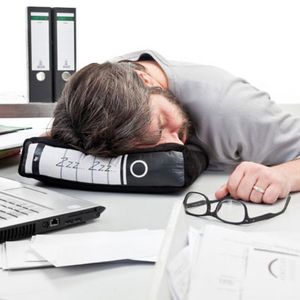 In anderen Ländern gehört ein Mittagsschläfchen längst zum guten Ton, mit dem Bürokissen "Power Nap" können Sie in der Pause ein erholsames Nickerchen einlegen. Falls der Chef einmal hereinschaut, kann man das Kissen auch schnell im Schrank zwischen Ordnern verstecken. Der Luxus hat jedoch seinen Preis: Knapp 24 Euro plus Versand kostet das Plüschkissen bei enjoymedia.ch.(Bildquelle:  Enjoymedia.ch)