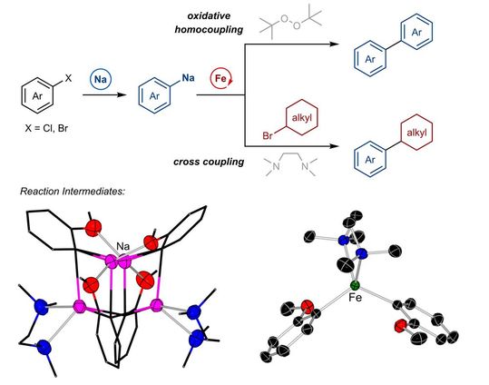 Illustration der chemischen Reaktion, der Kreuzkupplungsreaktion, bei der Natrium als organometallisches Reagenz und Eisen als Katalysator verwendet werden.(Bild:  © zvg)