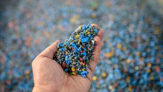 0109575645 (Bild: kyrychukvitaliy - stock.adobe.com)