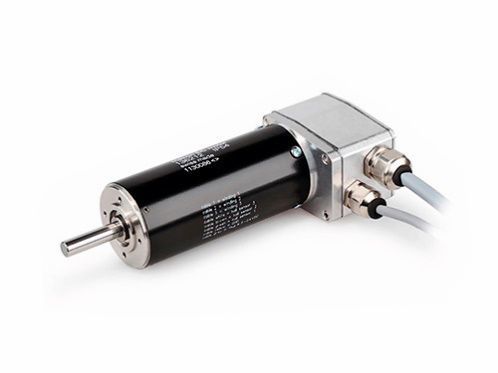 Zum Einsatz in der Antarktis kommt der Maxon RE 40 Motor mit einem Durchmesser von 45 mm und 250 W Leistung. 
 (Maxon Motor)