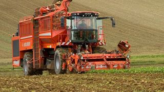 Rübenvollernter, hier von Holmer, müssen ihre Leistung nur wenige Wochen im Jahr, dann aber quasi rund um die Uhr bringen.  Bild: Holmer (Archiv: Vogel Business Media)