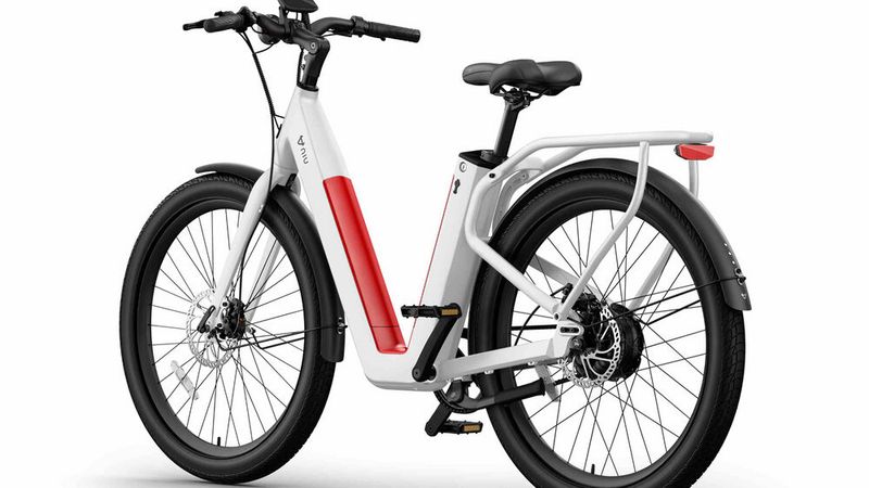 Der massiv wirkende Gepäckträger soll auf eine Last von 30 Kilogramm ausgelegt sein. (Bild: Niu)