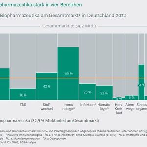 Die dreiumsatzsärksten Therapiebereiche sind Stoffwechselerkrankungen, Immuntherapien und Onkologie.(Bild:  BCG Studie: Medizinische Biotechnologie in Deutschland 2023)
