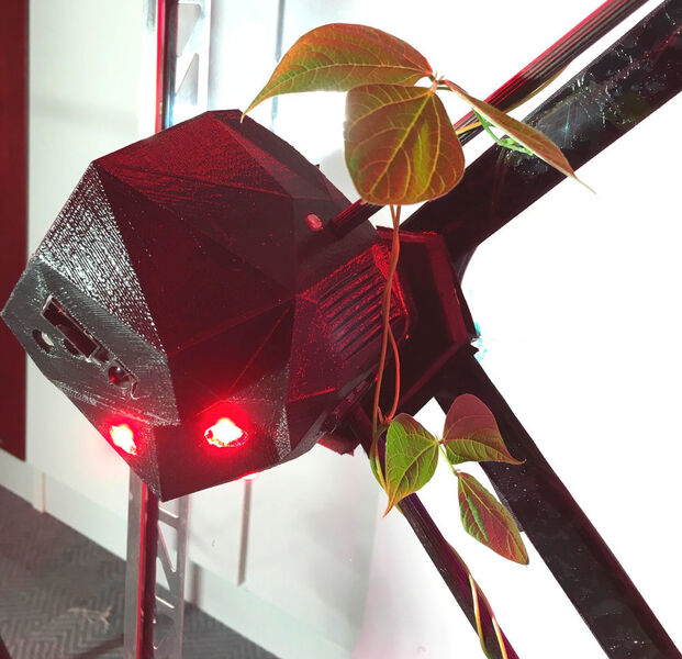 Die immobilen Roboter nutzen die natürliche Reaktion der Pflanzen auf ihre Umwelt, indem sie gezielt Lichtreize an die Pflanzen senden. (Projekt flora robotica)