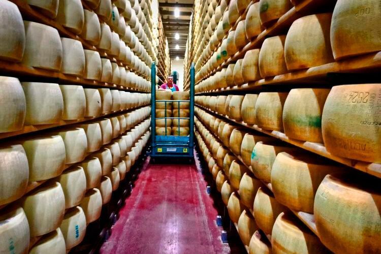 Eine Ökolandwirtschaft zur Herstellung von Parmesankäse ist das zweite Steckenpferd von Umberto Panini. (press-inform)