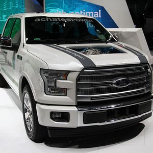 (SP-X/Max Friedhoff)