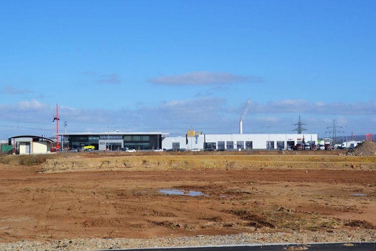 Auf der grünen Wiese ... (Foto: Michel)