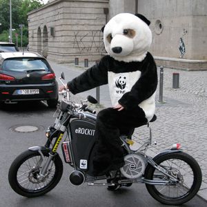 (WWF/eROCKIT)