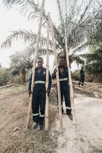Unter anderem im westafrikanischen Ghana nimmt seit Jahren die Bedeutung von Bambus als umweltfreundliches Ausgangsmaterial für viele Produkte zu. (My Boo)