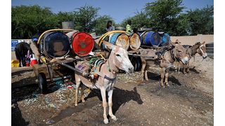 Für die großen Flugzeuge am Frankfurter Flughafen reicht ein einfacher Lastesel längst nicht mehr aus, um die Maschinen vom Gate zur Startbahn zu bringen. (Tobias Mandt, CC BY 2.0, flickr.com)