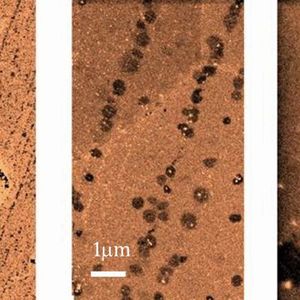 Detailed view: Images of early-stage growth of graphene on copper. The lines of hexagons are graphene nuclei, with increasing magnification from left to right, where the scale bars from left to right correspond to 10 μm, 1 μm, and 200 nm, respectively. The hexagons grow together into a seamless sheet of graphene (Source:  Nature Communications)