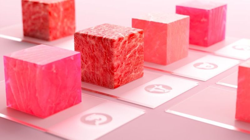 Merck beteiligt sich an einer dreijährigen Forschungskooperation über skalierbare Designs für Bioreaktoren für die Großproduktion von zellbasiertem Fleisch und Fisch. (Merck)