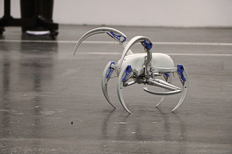 Mit dem Bionic Wheel Bot ist  ein Laufroboter entstanden, der von der Radlerspinne inspiriert ist. (Ute Drescher/konstruktionspraxis)
