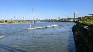 Der Rhein ist eine zentrale Lebensader für die deutsche Chemieindustrie: Konzerne wie BASF, Evonik und Covestro transportieren Rohstoffe und Chemikalien in großem Stil per Binnenschiff – bei Niedrigwasser gerät diese Logistik ins Stocken. (Bild: frei lizenziert)