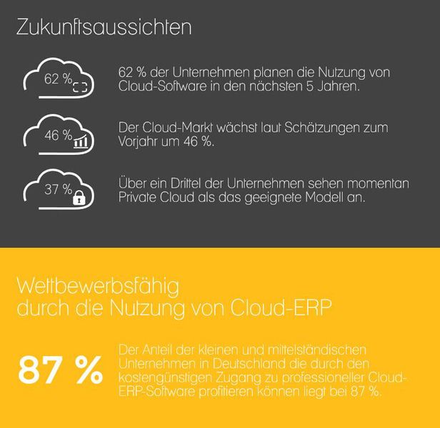 Immerhin steigt die Bereitschaft der Unternehmen, in den nächsten fünf Jahren Cloud-Software zu nutzen. Etwa ein Drittel kann sich vorstellen, eine private Cloud zu installieren. (Bild: Scopevisio)
