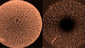 Gang Wu and collaborators developed hollow nanocarbon spheres containing an ordered radial nanochannel array to be used as supports in their new design for high-performance intermetallic nanoparticle fuel cell catalysts.  (Source: Wu lab/ Washington University in St. Louis)