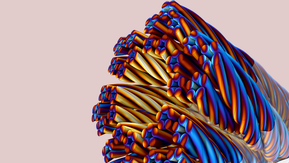 Comsol WEB1 EP (COMSOL Multiphysics GmbH)