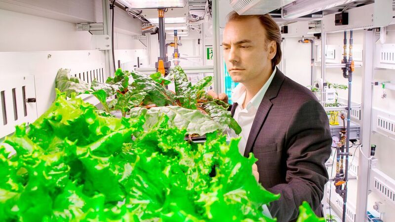 Wissenschaftler inspiziert die Pflanzen im Eden ISS Gewächshaus.  (EDEN ISS / CC BY 3.0)