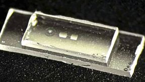 The quantum chip developed at ETH Zurich contains so-called mechanical resonators—tiny components that begin to vibrate when storing information. The chip is about 7.5 millimeters long, 2.5 millimeters wide, and 1 millimeter high (approx. 0.30 by 0.10 by 0.04 inches), roughly as wide as a small fingernail. (Image: Hybrid Quantum Systems Group / ETH Zurich)