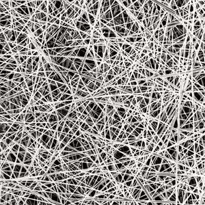 (Universität Hamburg/Ferdinand Otto)