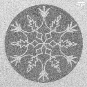 Un flocon de neige créé à l'aide d'un rayon laser.Cette structure magnétique a été générée au PSI à l'aide d'un laser industriel, non pas à des fins décoratives, mais pour démontrer la possibilité de modifier précisément des matériaux, ce qui présente un potentiel pour le stockage de données, l'IA et la photonique.(Source :  PSI/ Aleš Hrabec, Lauren Riddiford, Jeffrey Brock)