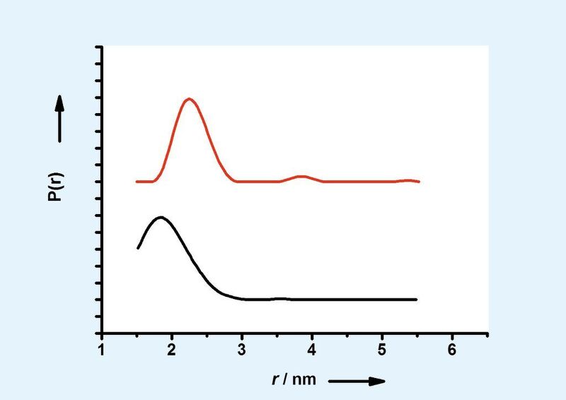 Abb.4: Mit DEER erhaltene Abstandsverteilungen für den divalenten Liganden 1S. Unten: ohne Lektin, die breite Abstandsverteilung zeigt die Flexibilität des Linkers zwischen den beiden spinmarkierten GlcNAc-Resten. Oben: mit Lektin, die Abstände bei 2,3 nm werden überbrückendem Binden benachbarter Primärbindungsstellen zugeordnet, weitere Abstände entsprechen Abständen zwischen Spinlabeln an verschiedenen Liganden, die auf demselben Lektinmolekül gebunden sind.  (Bild: Uni Konstanz)