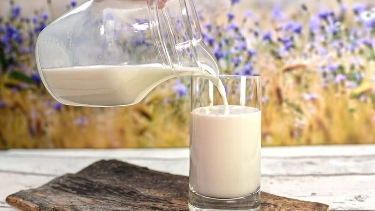 Steigende Anliefermengen und feste Abnahmeverträge zwingen die Schwälbchen Molkereien, überschüssige Rohmilch weit unter Einkaufspreis auf dem Spotmarkt zu verkaufen. (Bild: frei lizenziert)