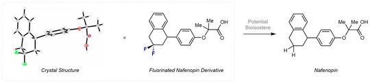 l.: Kristallstruktur (grau: Kohlenstoff, C; grün: Fluor, F; rot: Sauerstoff, O) des neuen, difluorierten Nafenopin-Derivats. Der modifizierte Wirkstoff wurde ausgehend von einem Zwischenprodukt hergestellt, welches mithilfe der beschriebenen Methodik synthetisiert wurde. r.: Struktur von Nafenopin.(Bild:  WWU Münster - AG Gilmour)