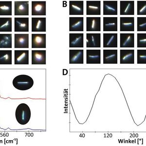 So Gelingt Die Automatisierte Partikel Analyse Mit Raman Mikroskopie