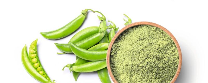 Fragmente von Erbsenprotein können das Sättigungsgefühl beeinflussen. Forscher haben den Effekt der Bitterstoffe in einer Pilotstudie mit 19 Probanden untersucht. (Symbolbild)(Bild: ©  NIKCOA - stock.adobe.com)