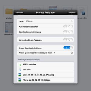 Das jeweilige Sicherheitsniveau für freigegebene Dateien ist über eine zentrale Bedienoberfläche individuell konfigurierbar.