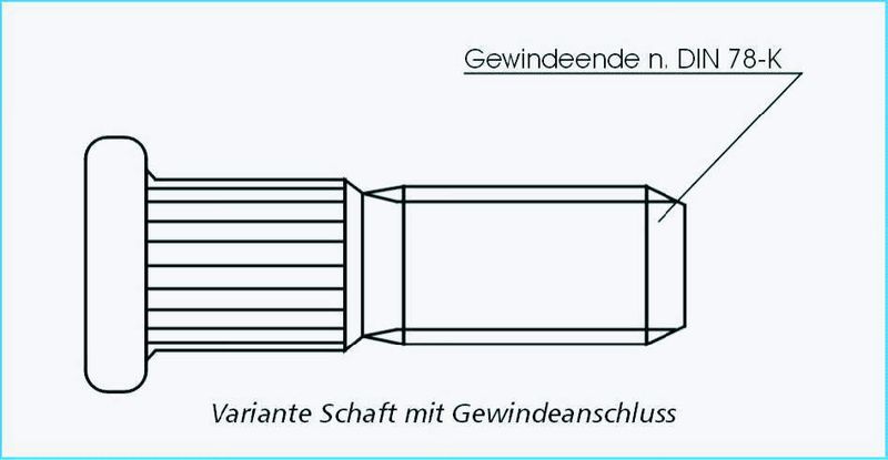 Das Einpresssystem TriPress: Der Einpressbolzen des Einpresssystems TriPress ist in unterschiedlichen Varianten und Kombinationen produzierbar. Gegenüber herkömmlichen Produkten mit runden Schaft weist er einen dreieckigen Querschnitt auf. (Archiv: Vogel Business Media)