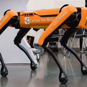 Unterschiedlichste Roboter waren in Würzburg zu begutachten.(Bild:  Stefan Bausewein)