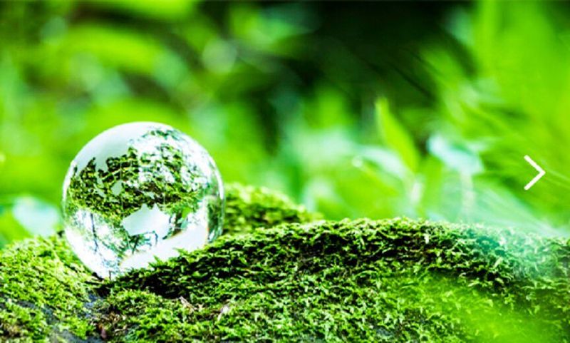 The new facility investments will increase the production capacity of highly diversified types of silicone fluids, resins and rubber end products. (Shin-Etsu Chemical)