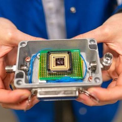 An “electronic nose” created by UC Berkeley researchers can detect the gases emitted by spoiled food and food allergens better than human noses.  (Source: Brandon Sánchez-Mejia/ UC Berkeley)