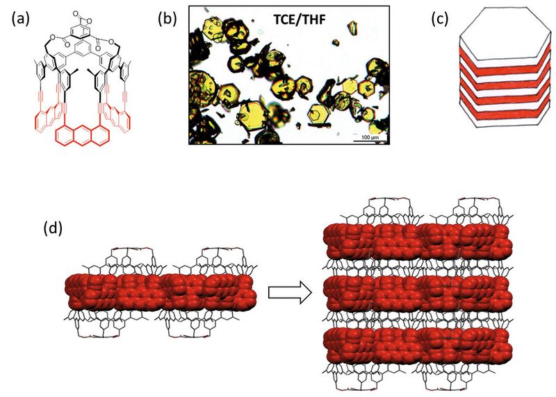 Abb. 1. (a) Monomerstruktur mit den photoreaktiven Teilen Anthracen und Acetylen in Rot sowie den unreaktiven Terphenylenbrücken in Schwarz. (b) Optische Mikroskopieaufnahme von Monomereinkristallen [aus Tetrachloroethan (TCE) und Tetrahydrofuran (THF)] (c) Schichtstruktur des Monomer- (und Polymer)kristalls. (d) Aus der Röntgenbeugungs-Kristallstrukturanalyse abgeleitete alternierende Anordnung der Monomere im Kristall. Die photoreaktiven und die unreaktiven Teile sind mittels eines raumfüllenden Modells bzw. eines Strichmodells dargestellt. (Bild: ETH Zürich)