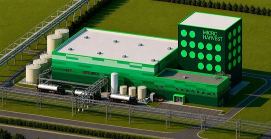 Die geplante MicroHarvest-Anlage in Leuna produziert ab der ersten Jahreshälfte 2028 jährlich rund 15.000 Tonnen mikrobielles Protein aus Agrar-Nebenströmen. (Bild:  Drees & Sommer)