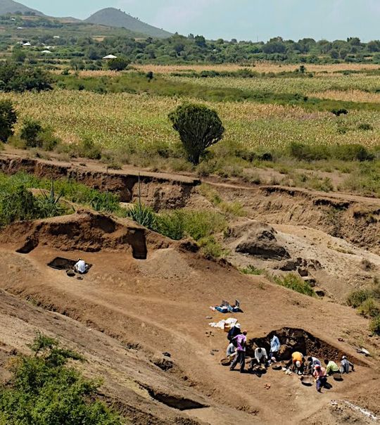 Along the shores of Africa’s Lake Victoria in Kenya roughly 2.9 million years ago, early human ancestors used some of the oldest stone tools ever found to butcher hippos and pound plant material, according to new research led by an international team of scientists. Along the shores of Africa’s Lake Victoria in Kenya roughly 2.9 million years ago, early human ancestors used some of the oldest stone tools ever found to butcher hippos and pound plant material, according to new research led by an international team of scientists.